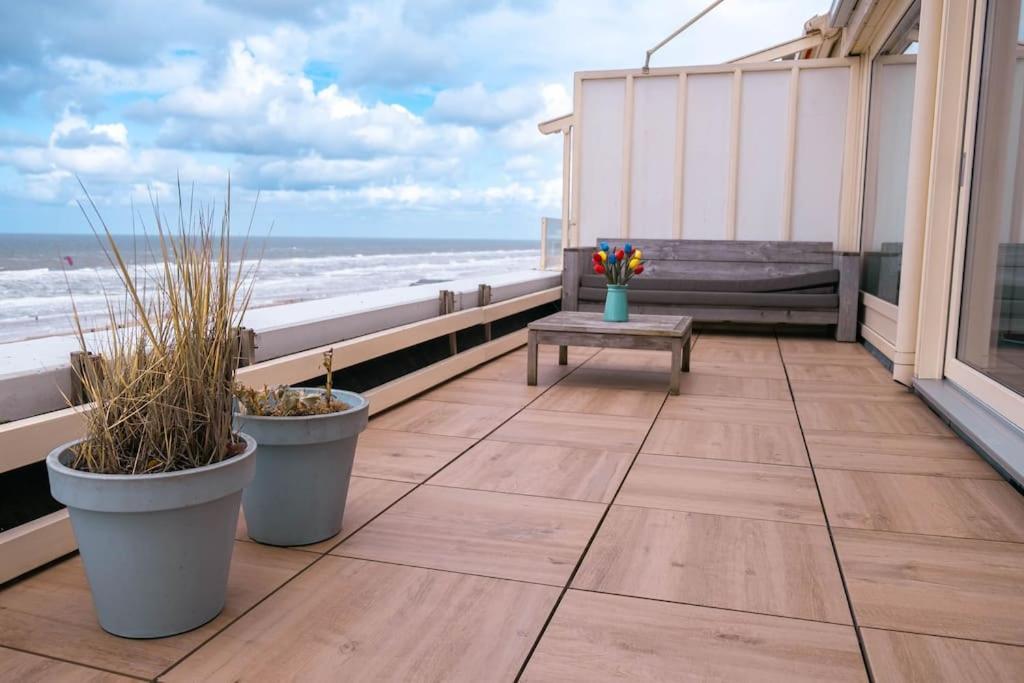 Kraaiennest Appartement Egmond aan Zee Buitenkant foto