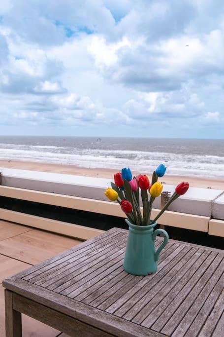 Kraaiennest Appartement Egmond aan Zee Buitenkant foto
