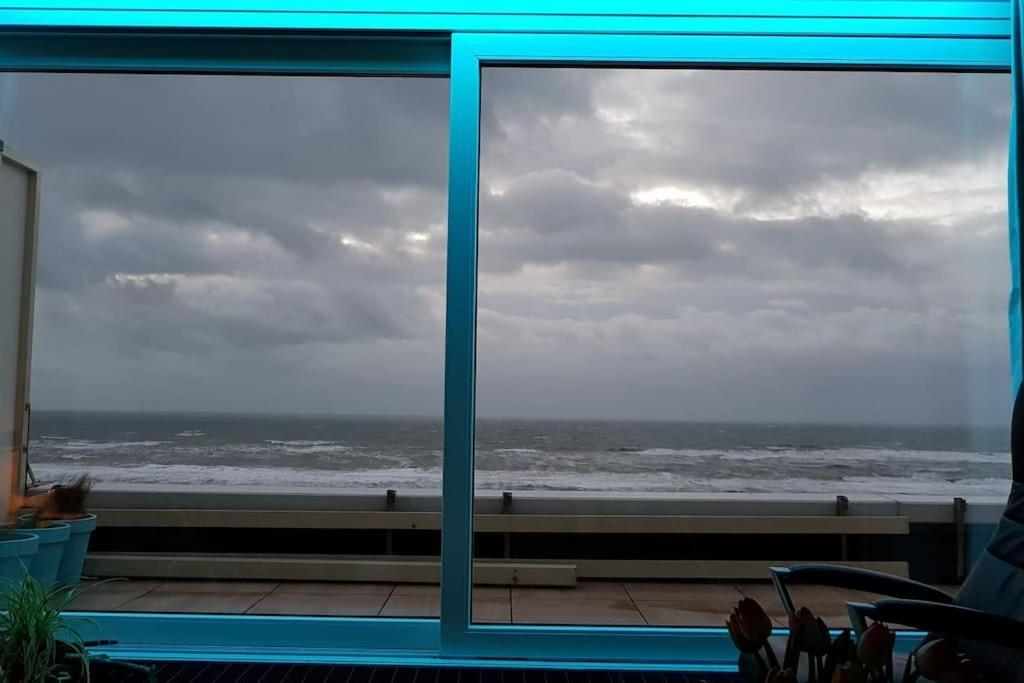 Kraaiennest Appartement Egmond aan Zee Buitenkant foto