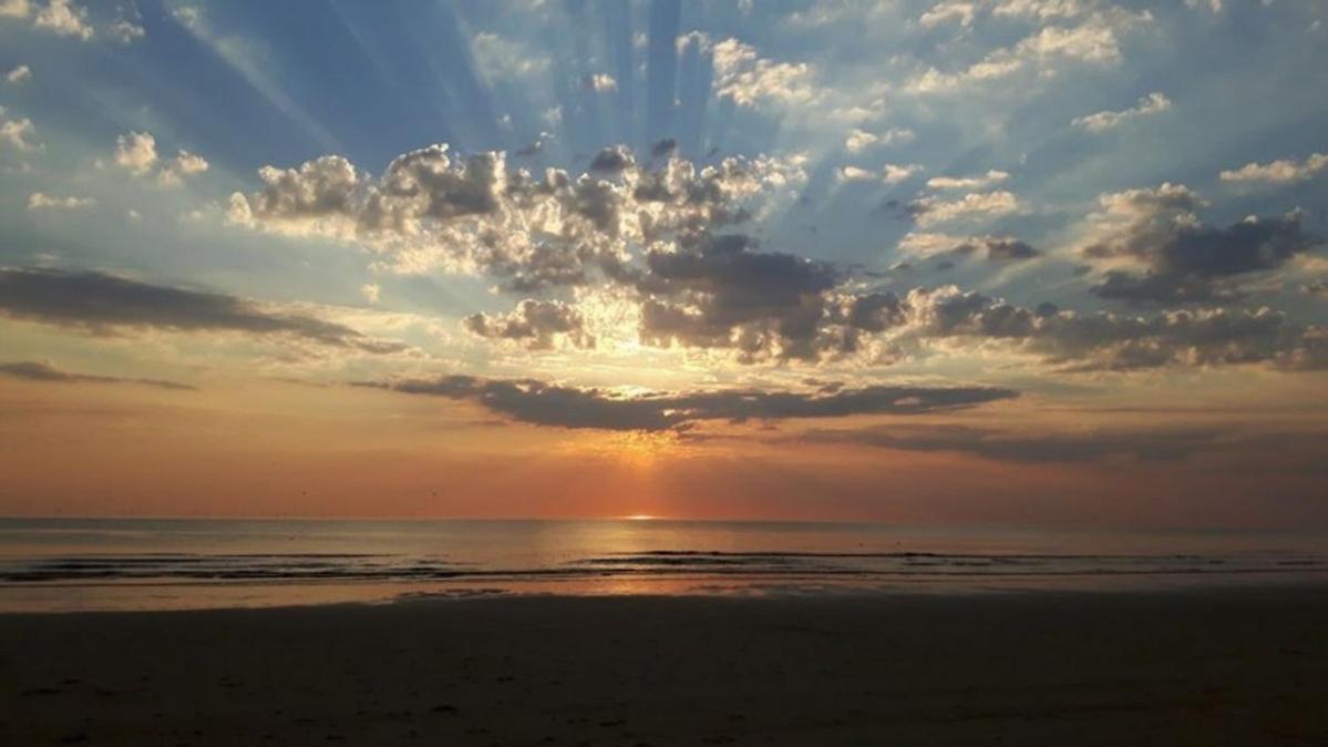 Kraaiennest Appartement Egmond aan Zee Buitenkant foto
