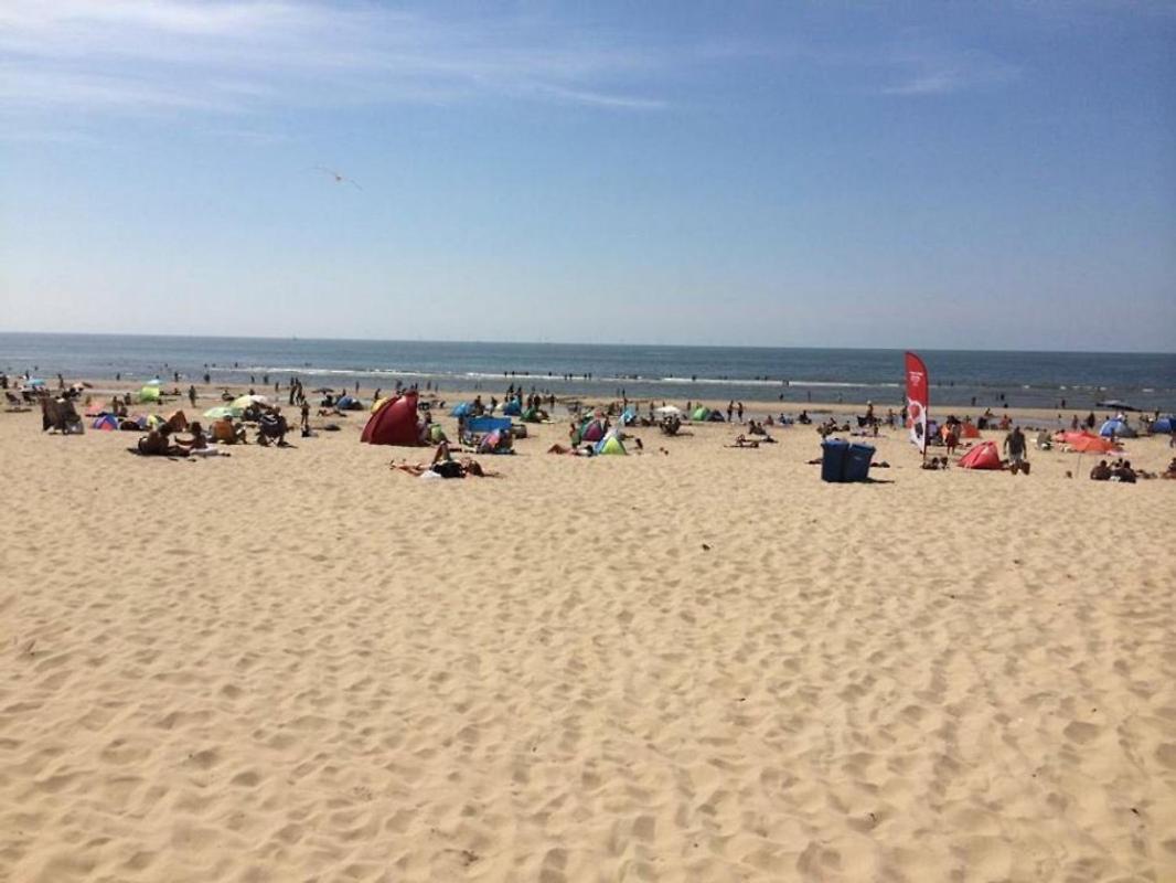 Kraaiennest Appartement Egmond aan Zee Buitenkant foto